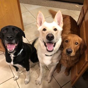 Meet your Posher, Erin